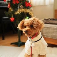 183位のイメージ