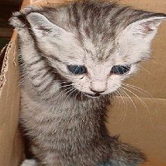 429位のイメージ