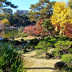 10位のイメージ