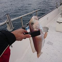 154位のイメージ