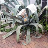 573位のイメージ