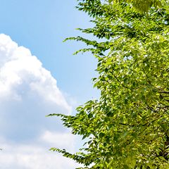 821位のイメージ