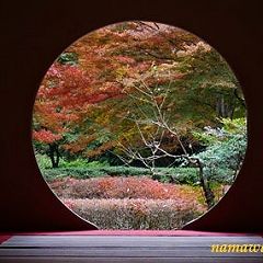 11位のイメージ