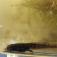 159位のイメージ