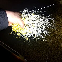 18位のイメージ