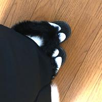 132位のイメージ