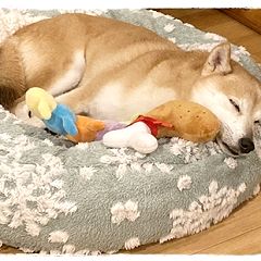 14347位のイメージ