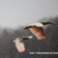 47位のイメージ