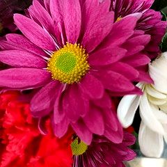 327位のイメージ