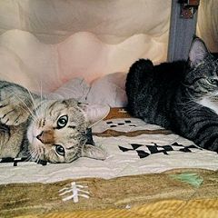 149位のイメージ