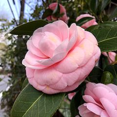 123位のイメージ