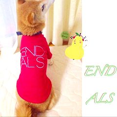 28位のイメージ