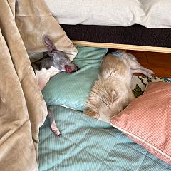 894位のイメージ