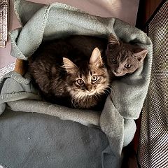 24位のイメージ