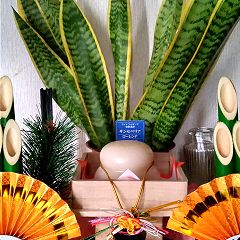 119位のイメージ