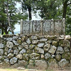 203位のイメージ