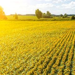 42252位のイメージ