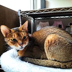 47位のイメージ