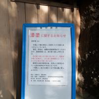 39279位のイメージ