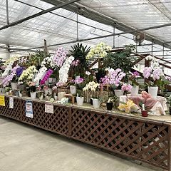 261位のイメージ