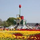 42270位のイメージ