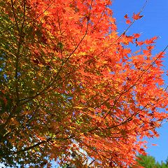 30位のイメージ