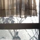 20位のイメージ