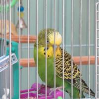 55位のイメージ