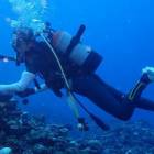 15438位のイメージ