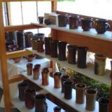 48位のイメージ