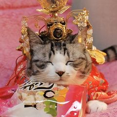 500位のイメージ