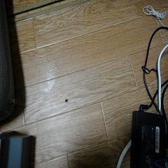 66位のイメージ