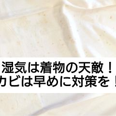 139位のイメージ