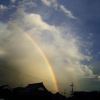 652位のイメージ