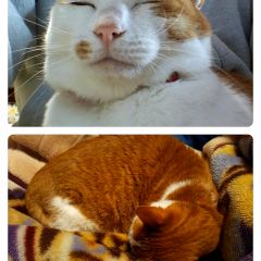 107位のイメージ