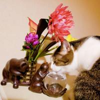 11位のイメージ