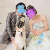 65位のイメージ