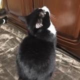 13位のイメージ