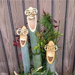 81位のイメージ