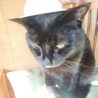 562位のイメージ