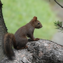 18位のイメージ