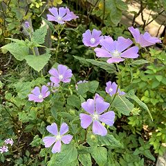 154位のイメージ