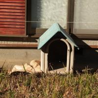 14位のイメージ