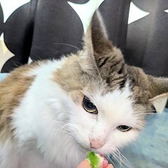 1924位のイメージ