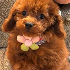 162位のイメージ