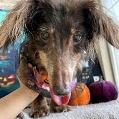 71位のイメージ