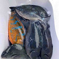 48位のイメージ