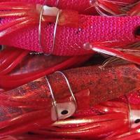 18位のイメージ