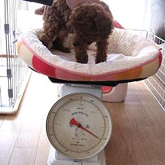 57位のイメージ