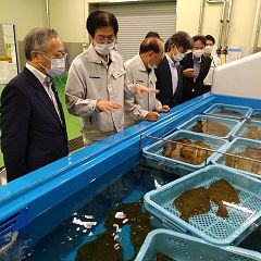 12位のイメージ